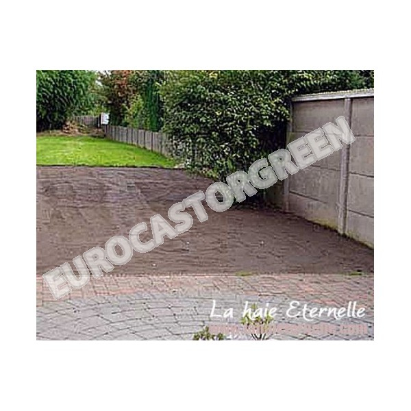 Gazon Synthétique Permanent Luxor – Gazon Artificiel Haut avec Gazon Synthétique Haut De Gamme