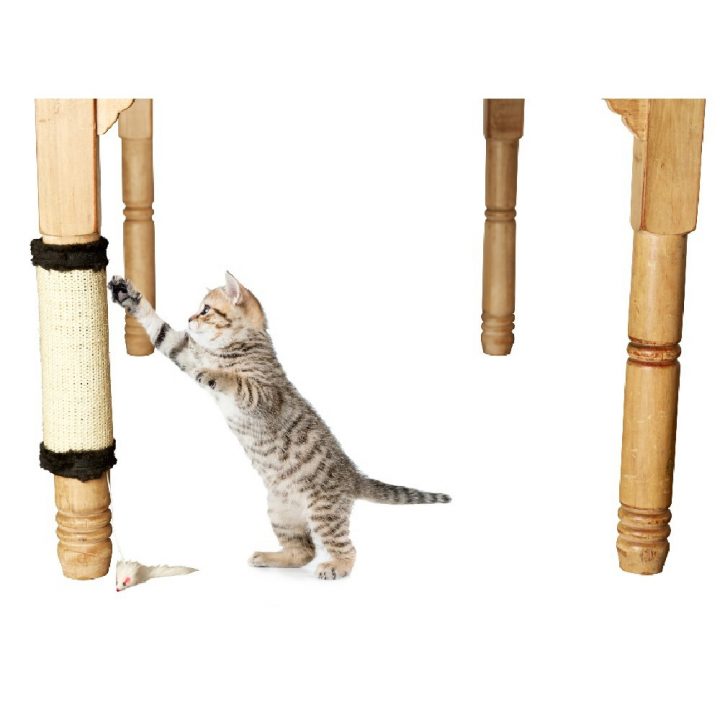 Griffoir Ajustable Pour Pied De Table – Arbre À Chat Et tout Arbre A Chat Gifi