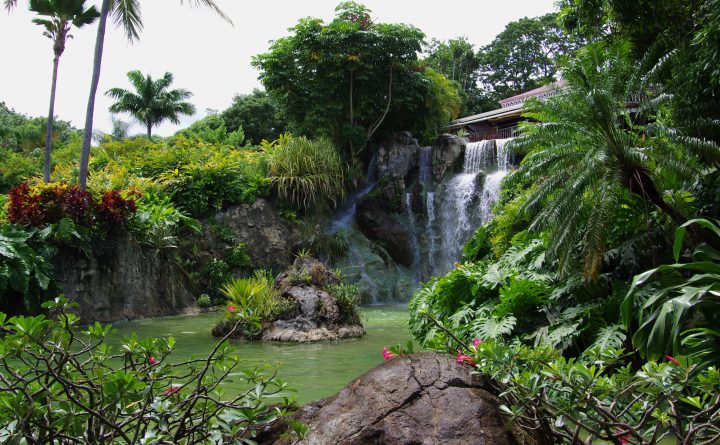 Guadeloupe – Jardin De Coluche serapportantà Jardin Botanique Guadeloupe