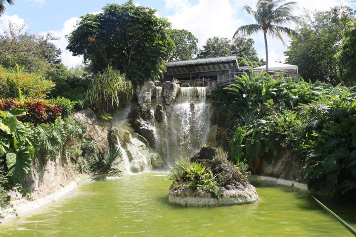 Guide Tourisme Guadeloupe – Deshaies – Basse Terre avec Jardin Botanique Guadeloupe