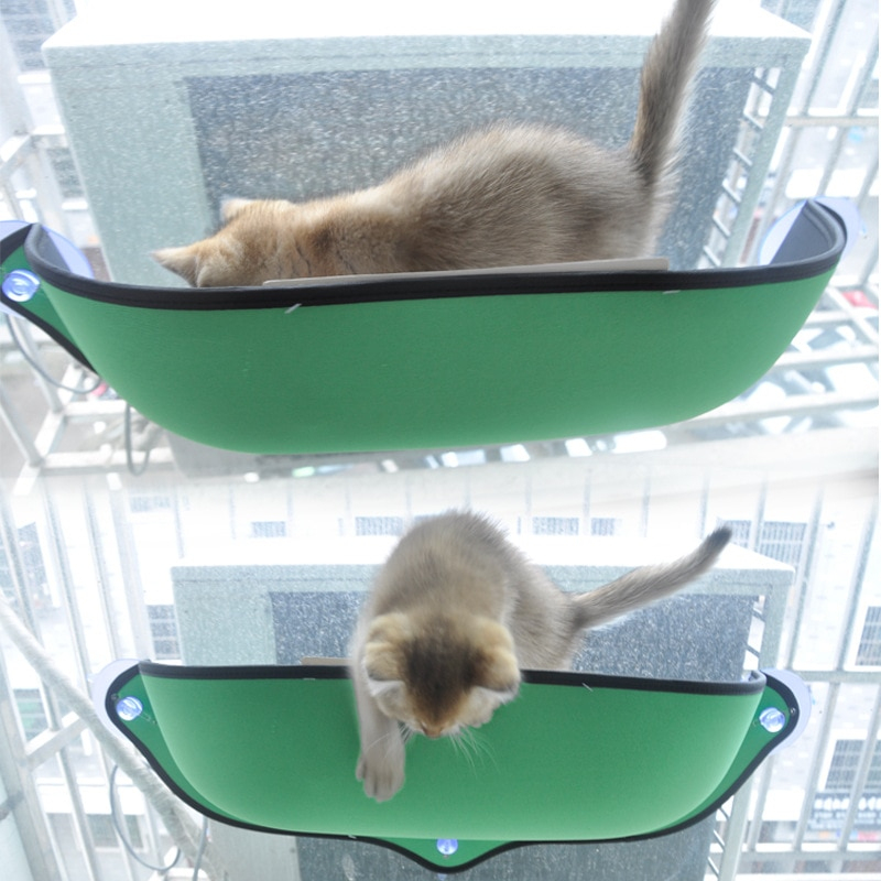 Heypet Chat Hamac Chat Fenetre Lit Transat Canape Coussin Concernant Hamac Fenetre Pour Chat Gifi Agencecormierdelauniere Com Agencecormierdelauniere Com Heypet Chat Hamac Chat Fenetre Lit Transat Canape Coussin Concernant Hamac Fenetre Pour Chat Gifi Agencecormierdelauniere Com Agencecormierdelauniere Com