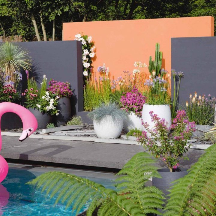 Idées De Décos Pour Le Jardin En Été | Jardin Exotique dedans Decor Et Jardin