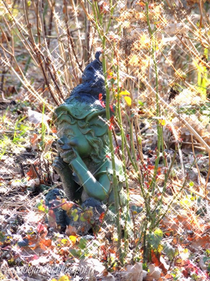 Il Etait Un Petit Jard'Ain : Encore Un Matin à Le Lutin Dans Le Jardin