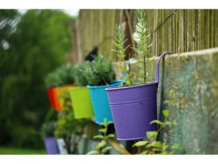 Import Wholesale Motivated Vendor Submit All Offers For avec Import Garden