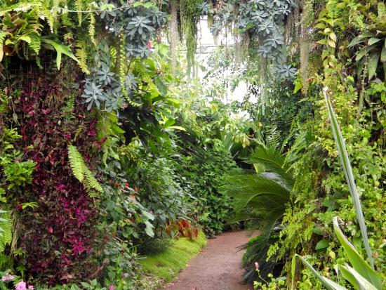Intérieure Des Serres Tropicales – Picture Of Les Jardins avec Jardin Suspendu Le Havre Intérieure Des Serres Tropicales – Picture Of Les Jardins avec Jardin Suspendu Le Havre