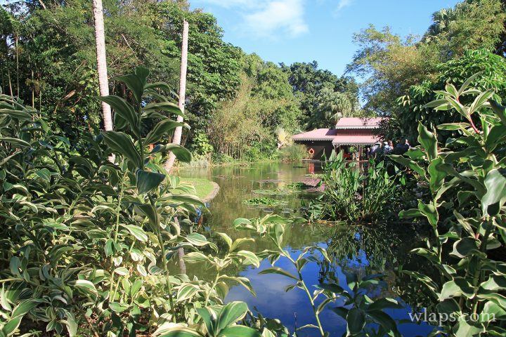 Jardin Botanique De Deshaies : Cela Vaut-Il Vraiment Le intérieur Jardin Botanique Guadeloupe