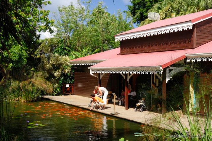 Jardin Botanique De Deshaies En Guadeloupe – Parc Floral concernant Jardin Botanique Guadeloupe