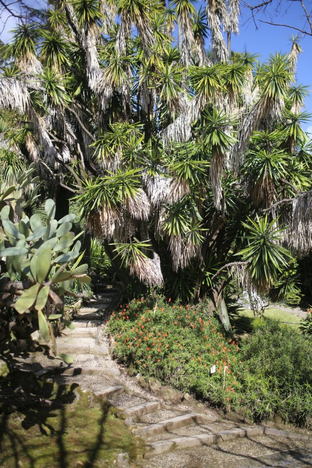 Jardin Botanique De Lisbonne | European Network Of concernant Jardin Botanique Lisbonne