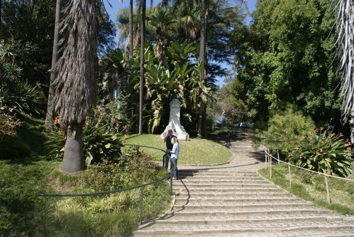 Jardin Botanique De Lisbonne : Palmiers Et Tropiques destiné Jardin Botanique Lisbonne
