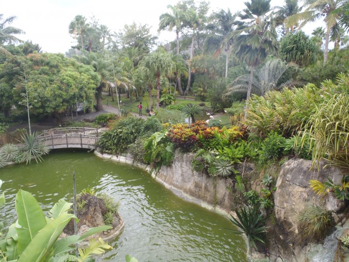 Jardin Botanique Deshaies, Guadeloupe | Le Galdi avec Jardin Botanique Guadeloupe