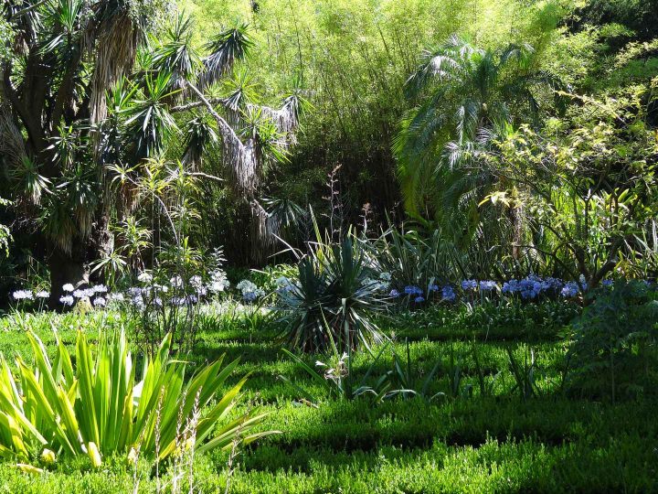 Jardin De Bésignoles: Jardin D'Inspiration : Le Jardin à Jardin Botanique Lisbonne