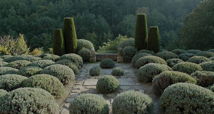 Jardin De La Louve – Google Search | Gartenprodukte intérieur Jardin De Provence