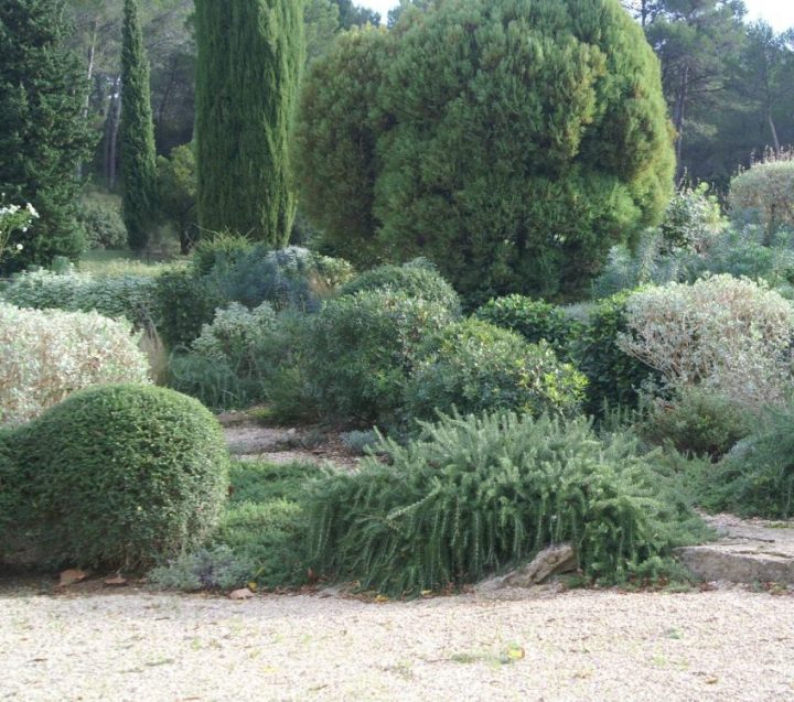 Jardin De Rocaille À Saint Remy De Provence Dans Les concernant Jardin De Provence