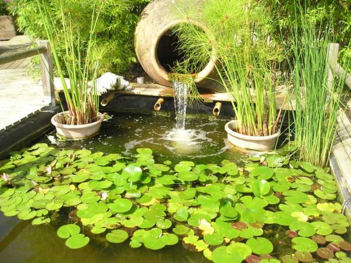 Jardin Des Martels – Tarn Attitude – Passion – Loisirs intérieur Jardin Des Martels Jardin Des Martels – Tarn Attitude – Passion – Loisirs intérieur Jardin Des Martels