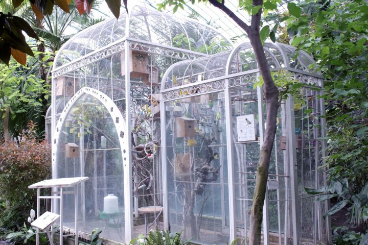 Jardin Des Serres D'Auteuil Paris – Marshmallowor(L)D destiné Serre Adossée Occasion