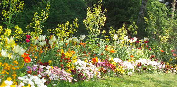 Jardin D'Hubert intérieur Le Jardin Des Fleurs Jardin D'Hubert intérieur Le Jardin Des Fleurs