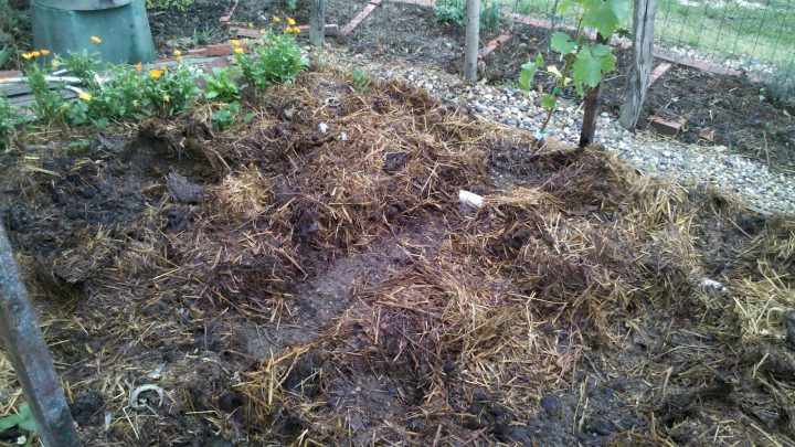 Jardin Du Sud-Ouest encequiconcerne Jardin Du Sud