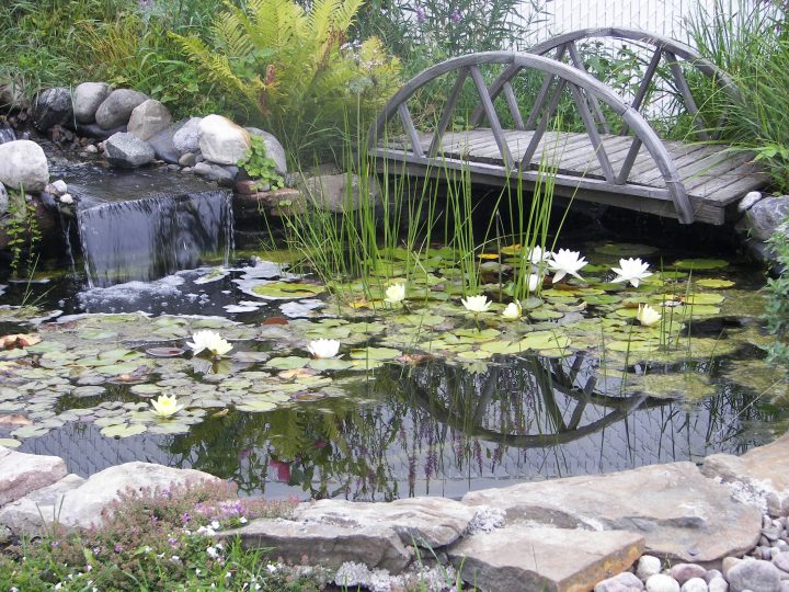 Jardin H2O | Plus Qu'Une Passion… à Bassin De Jardin
