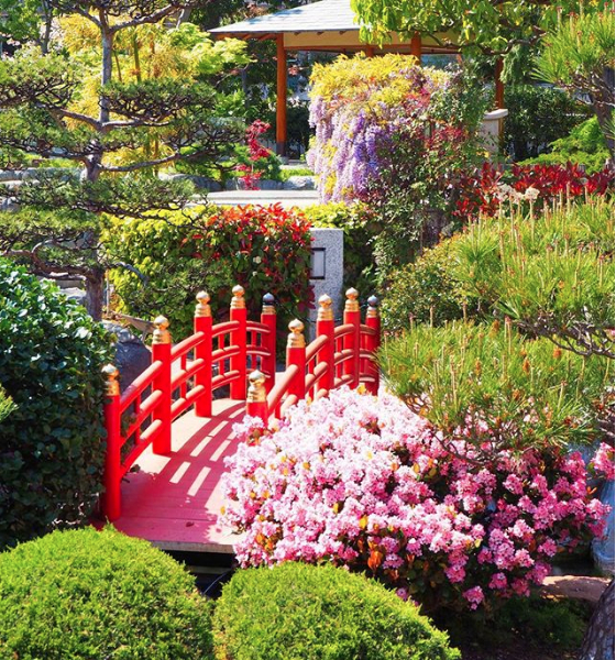 Jardin Japonais De Monaco | Photo : Pixclem | Garden dedans Jardin Japonais Monaco