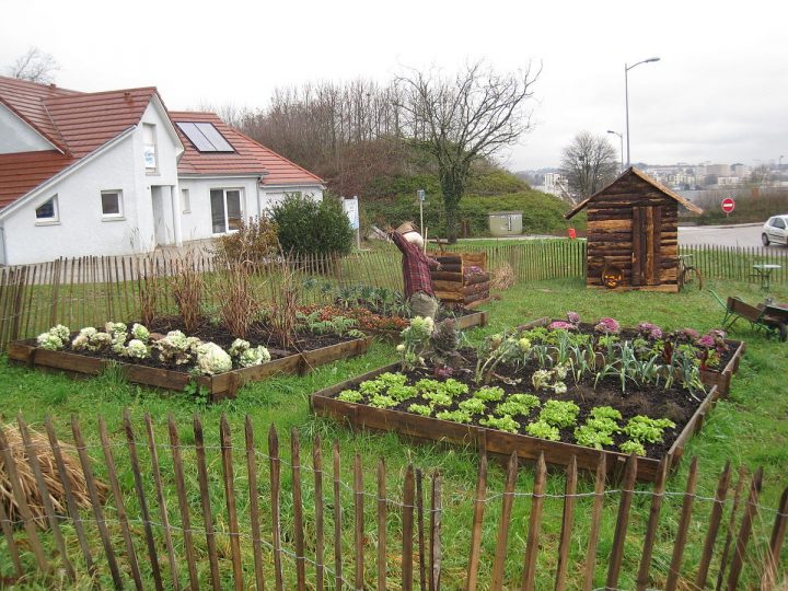 Jardin Potager — Wikipédia serapportantà Comment Clôturer Son Jardin Jardin Potager — Wikipédia serapportantà Comment Clôturer Son Jardin