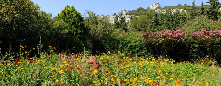 Jardin Service Du Sud Paysagiste – Jardin Service Du Sud intérieur Jardin Du Sud Jardin Service Du Sud Paysagiste – Jardin Service Du Sud intérieur Jardin Du Sud