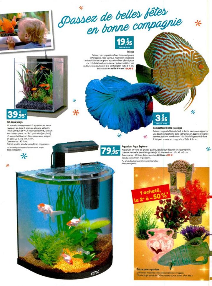 Jardinerie Tarnaise – Fleuriste, Rond-Point De L dedans La Jardinerie Tarnaise