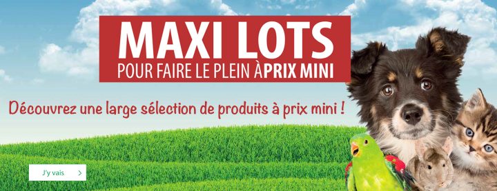 La Jardinerie Tarnaise – Albi Et Castres concernant La Jardinerie Tarnaise