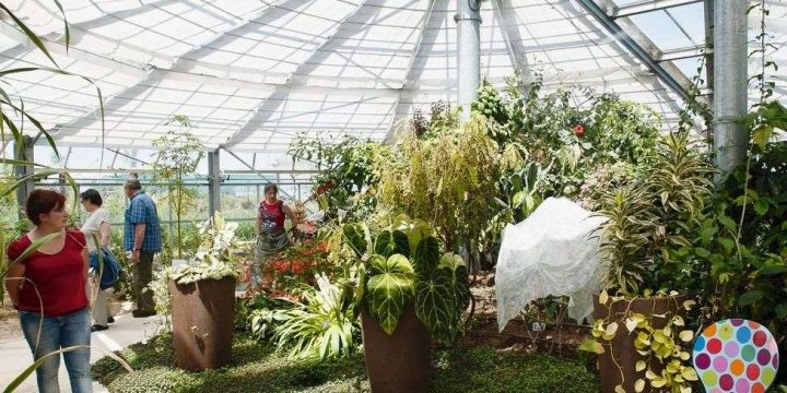 La Rochelle : Quand Le Jardin Devient Public – Sud Ouest.fr concernant Serre Horticole D&#039;Occasion