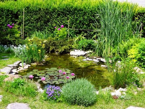Le Bassin De Jardin De Jean Yves | Bassin De Jardin, Jardin D'Eau, Petit Bassin De Jardin à Bassin De Jardin