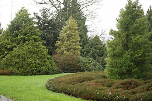 Le Jardin Botanique Des Montagnes Noires – Arrosoirs Et destiné Arrosoirs Et Sécateurs