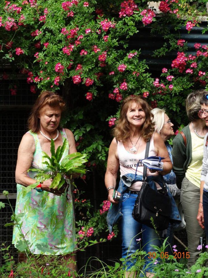 Le Jardin De La Belle Allemande À Lyon avec Jardin Fleuri Lyon