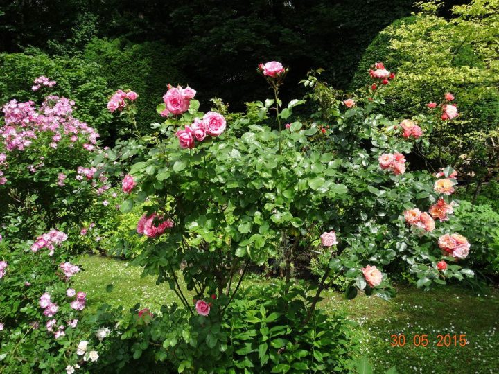 Le Jardin De La Belle Allemande À Lyon intérieur Jardin Fleuri Lyon