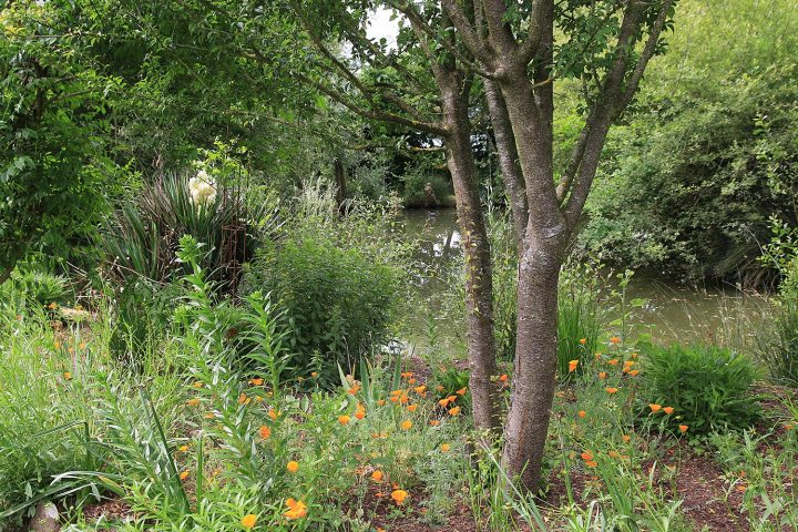 Le Jardin D’elisée À Vernais (18) – Arrosoirs Et Sécateurs encequiconcerne Arrosoirs Et Sécateurs