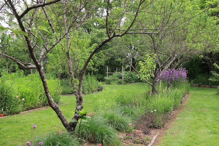 Le Jardin D’elisée À Vernais (18) – Arrosoirs Et Sécateurs serapportantà Arrosoirs Et Sécateurs