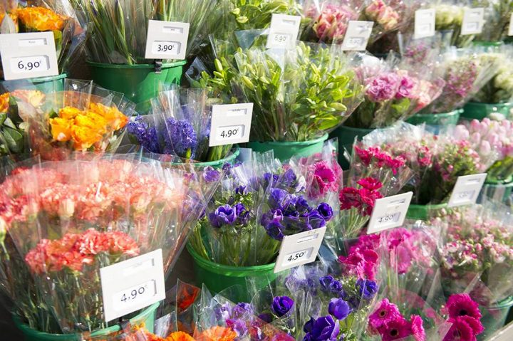 Le Jardin Des Fleurs Élu Meilleure Chaîne De Magasins De L intérieur Le Jardin Des Fleurs Le Jardin Des Fleurs Élu Meilleure Chaîne De Magasins De L intérieur Le Jardin Des Fleurs