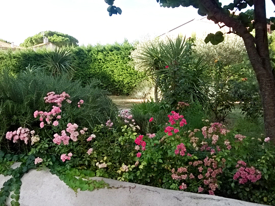 Le Jardin Du Sud, Ou Jardin Méditerranéen, Un Jardin Bien tout Jardin Du Sud Le Jardin Du Sud, Ou Jardin Méditerranéen, Un Jardin Bien tout Jardin Du Sud