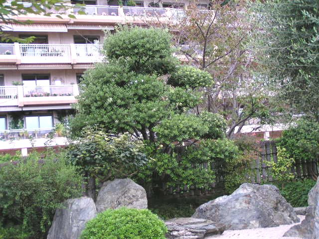 Le Jardin Japonais De Monaco serapportantà Jardin Japonais Monaco