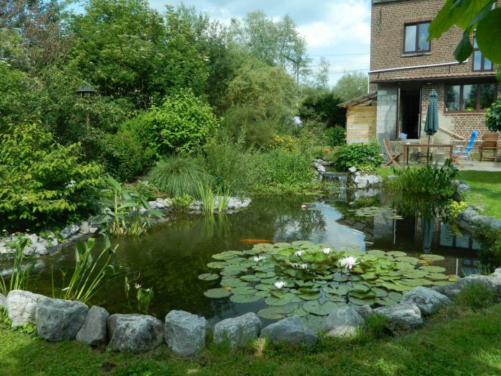 Les 15 Plus Beaux Bassins Découverts Lors Du Concours ! – Aquiflor – Jardinerie Aquatique serapportantà Bassin De Jardin