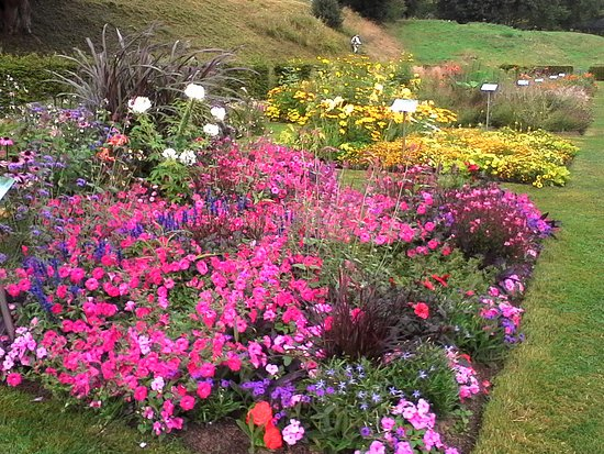 Les Jardins Suspendus (Le Havre, France): Top Tips Before avec Jardin Suspendu Le Havre Les Jardins Suspendus (Le Havre, France): Top Tips Before avec Jardin Suspendu Le Havre