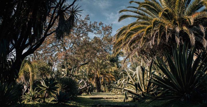 Lisbonne Âme & Secrets • Jardins pour Jardin Botanique Lisbonne