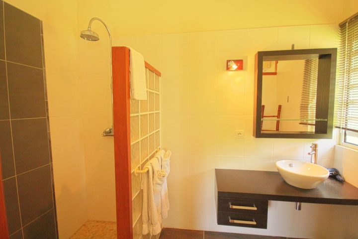 Location Villa Anse Marcel 8 Personnes Vue Mer Piscine dedans Douche Villa