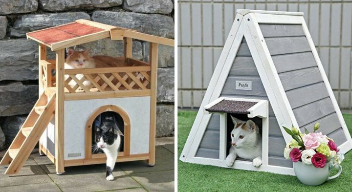 Maison Pour Chat Exterieur Hiver | Ventana Blog destiné Niche Chat Extérieur Maison Pour Chat Exterieur Hiver | Ventana Blog destiné Niche Chat Extérieur