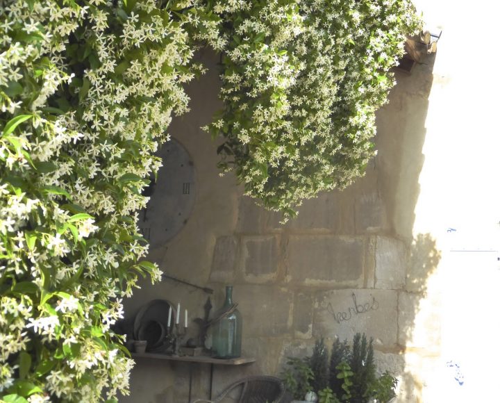 Manon 21: Le Petit Jardin Du Mas Bleu avec Le Petit Jardin Manon 21: Le Petit Jardin Du Mas Bleu avec Le Petit Jardin