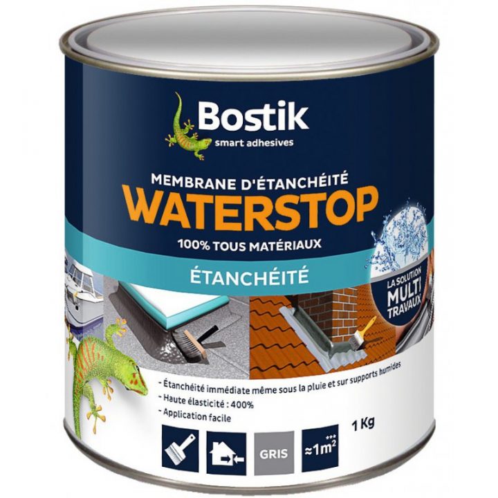 Membrane D'Étanchéité Waterstop Bostik – Pot – 1 Kg De intérieur Peinture Etanche
