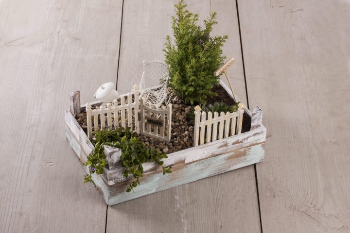 Mini-Gardening, Créer Son Petit Jardin Zen. – Le Loisir à Jardin Zen Miniature Jardiland