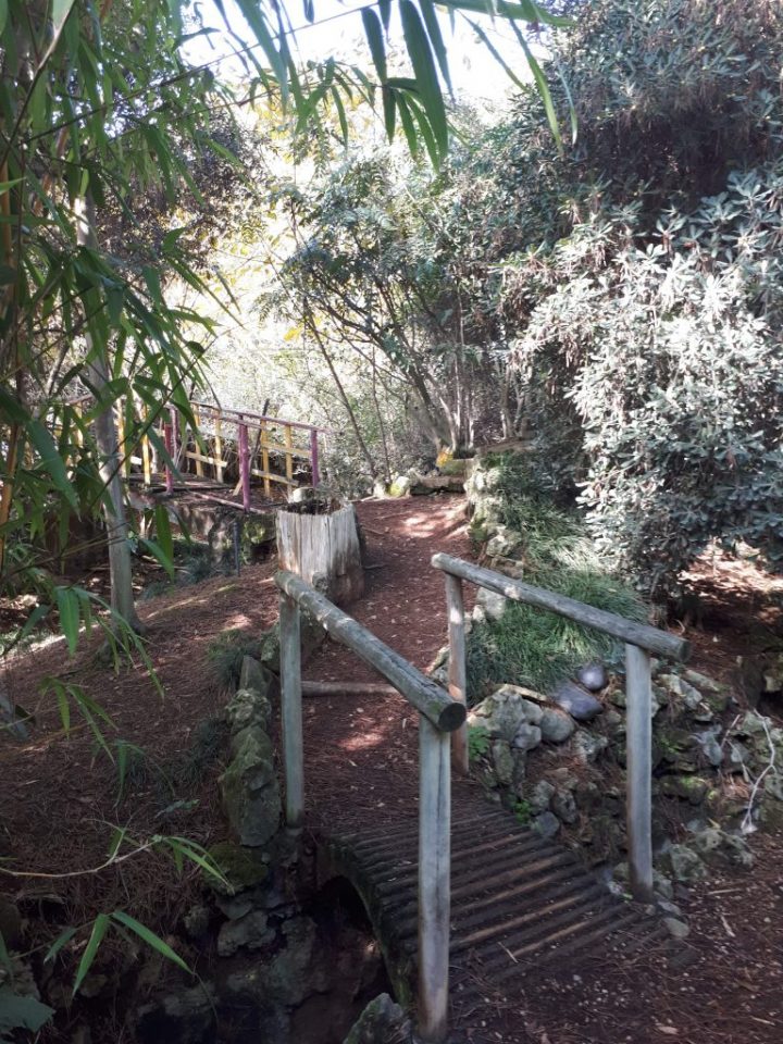 Mon Carnet De Voyage À Lisbonne – Blog Voyage Le Prochain dedans Jardin Botanique Lisbonne