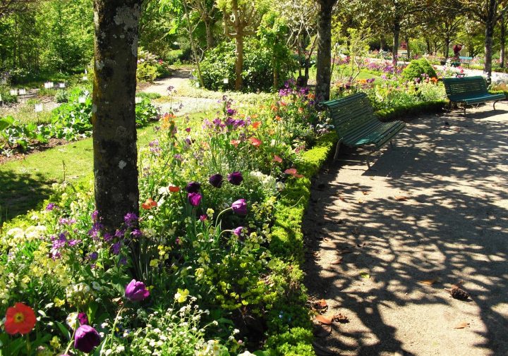 Mon Petit Jardin En Sologne: Le Jardin Botanique De Tours à Jardin De Sologne