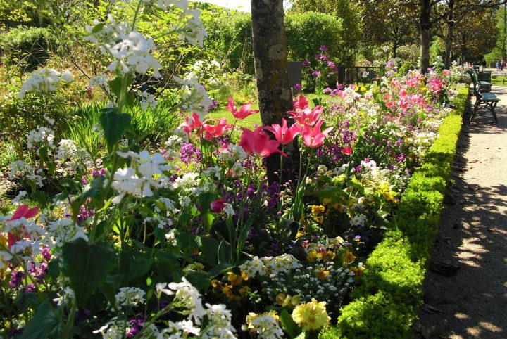 Mon Petit Jardin En Sologne: Le Jardin Botanique De Tours concernant Jardin De Sologne