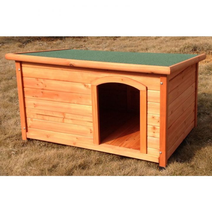 Niche En 2020 | Niche Chien, Chien En Bois Et Niche dedans Niche Chat Extérieur Niche En 2020 | Niche Chien, Chien En Bois Et Niche dedans Niche Chat Extérieur