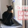 Heypet Chat Hamac Chat Fenetre Lit Transat Canape Coussin Concernant Hamac Fenetre Pour Chat Gifi Agencecormierdelauniere Com Agencecormierdelauniere Com Heypet Chat Hamac Chat Fenetre Lit Transat Canape Coussin Concernant Hamac Fenetre Pour Chat Gifi Agencecormierdelauniere Com Agencecormierdelauniere Com